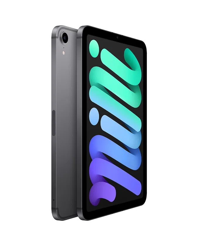 back image