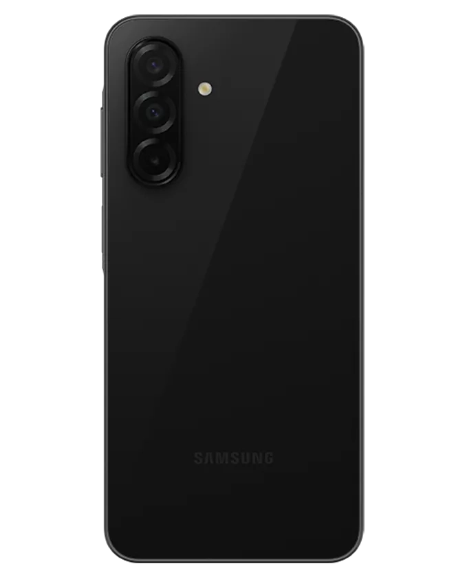 back image