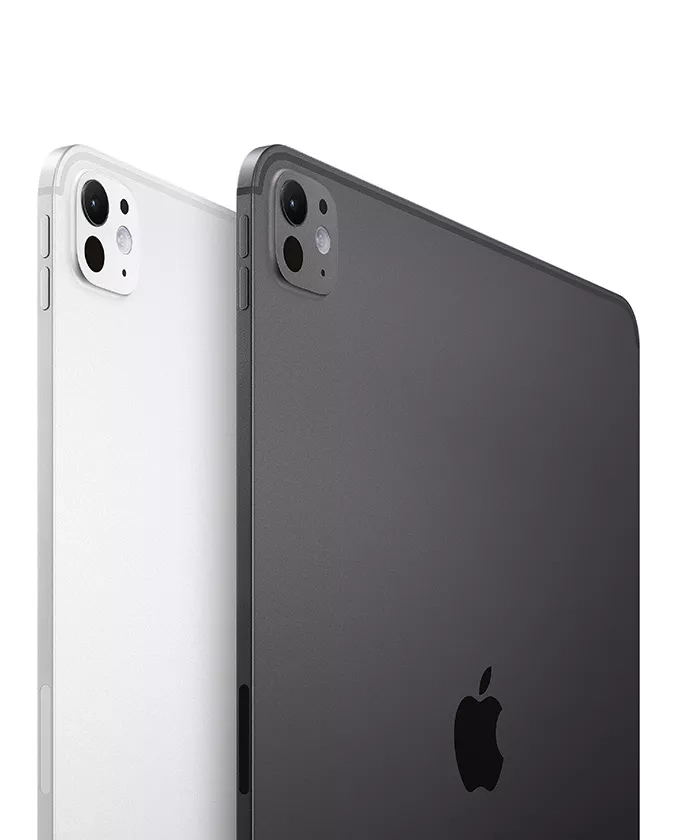 back image