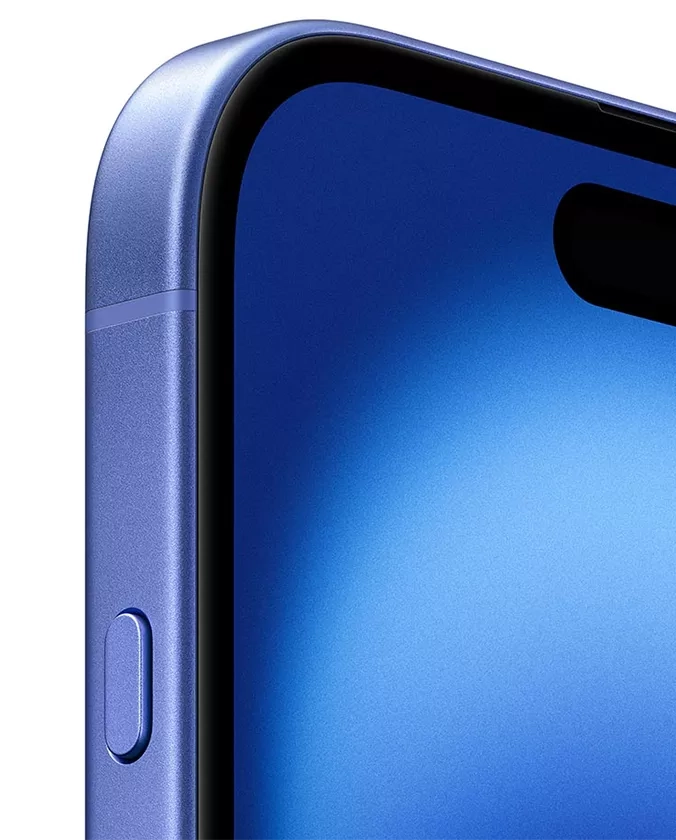 back image