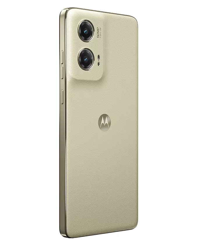 back image